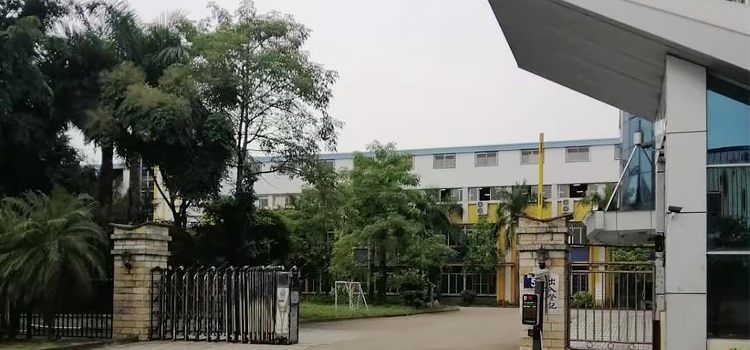 11237983.png 11237983.png